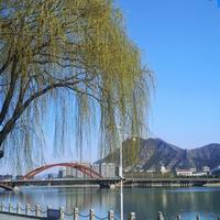 乐山乐水LNCY头像