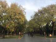 Care_在乎的个人资料头像