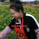 不是专业卖车头像