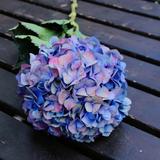 用户1715400694544头像