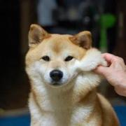 用户7254126122915的个人资料头像