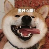 小航视频影视头像