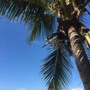 赵勃的个人资料头像