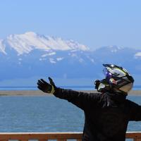 小刘爱骑车头像