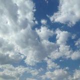 阳光24675头像
