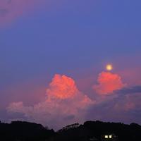 用户3340585334127头像