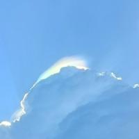 努力的皮皮虾头像