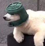 阿权150的个人资料头像