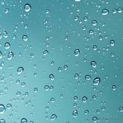 mzl木子李的个人资料头像