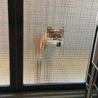 用户8700323674416头像