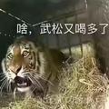 蜡笔画不出小新1头像
