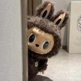 临临爱自己爱生活头像