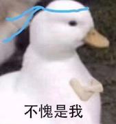 吴小沫的个人资料头像