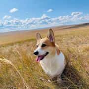 fayyoungabc的个人资料头像