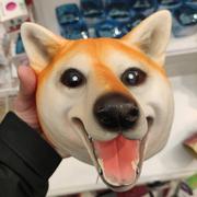 饶政的个人资料头像