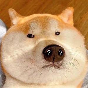 🐑懒大王头像
