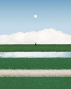 COPY_BOOK的个人资料头像