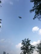 敲代码的tony老师的个人资料头像