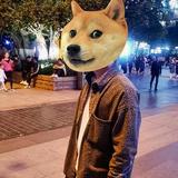 ᥬᥬ🐻᭄᭄头像