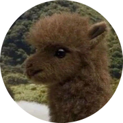 归墟119的个人资料头像