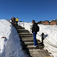 优雅德惠9t0头像