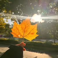 奇雪的梦想头像