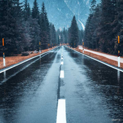 被坑坏的红领巾的个人资料头像