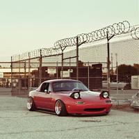 热闹精灵CGy头像