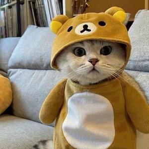 鬼壮（战神/上分/晋级赛）头像
