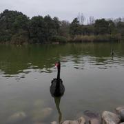 研发小张的个人资料头像