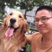 沙岵杨的个人资料头像