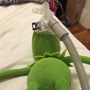 丸子zz的个人资料头像