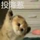 四川在逃的熊猫 · 总裁车主·车龄9年头像