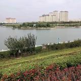 缘来饰我头像