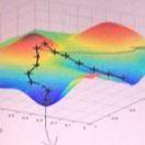 青菜的个人资料头像