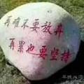狂奔的蜗牛8836头像