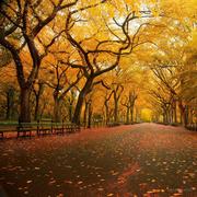 Zero哈哈哈的个人资料头像