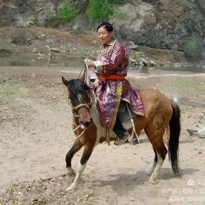塔拉视野头像
