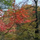 LE沐辞镁铝头像