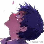 Allex的个人资料头像