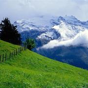 静待流水释春冬的个人资料头像