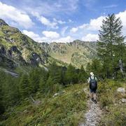 小虾米爱唱歌的个人资料头像
