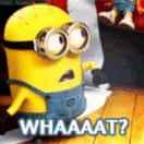 當然的个人资料头像