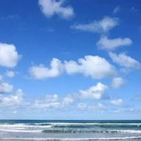 风轻云淡039头像