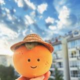 一山里香榧头像