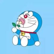 小白再现的个人资料头像