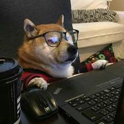 局变的个人资料头像