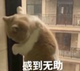隔壁老向x · 宝马i3车主·车龄1年头像