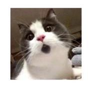 晨晨ya的个人资料头像