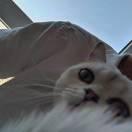 UmbraCi的个人资料头像